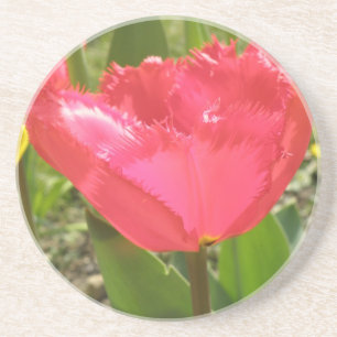 Fringed Tulips Coasters