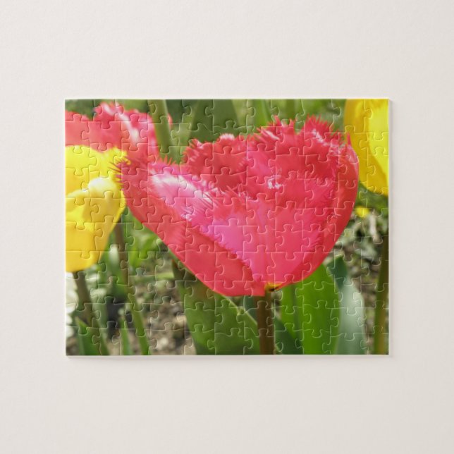 Fringed Tulips Puzzle (Horizontal)