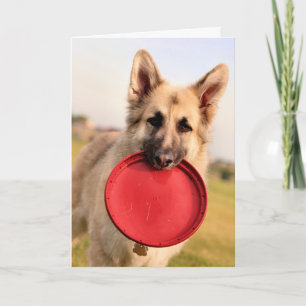 Frisbee Card