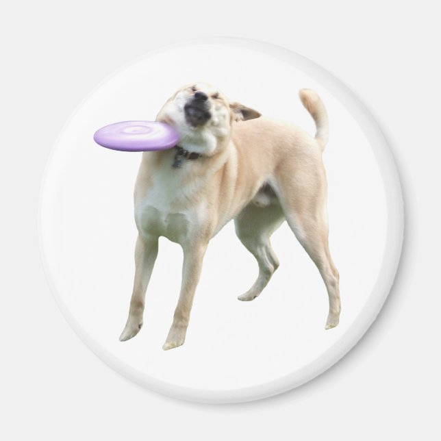 Frisbee Dog Meme Magnet (Front)