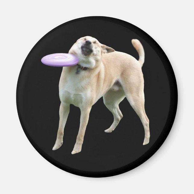 Frisbee Dog Meme Magnet (Front)