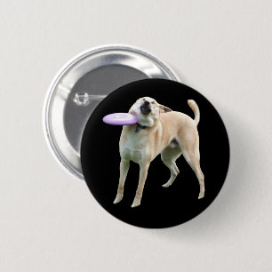 Frisbee Dog Meme Pin Button