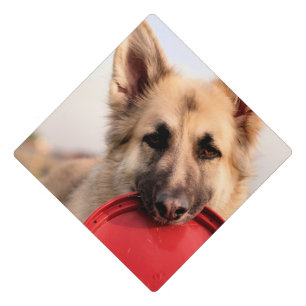 Frisbee Graduation Cap Topper