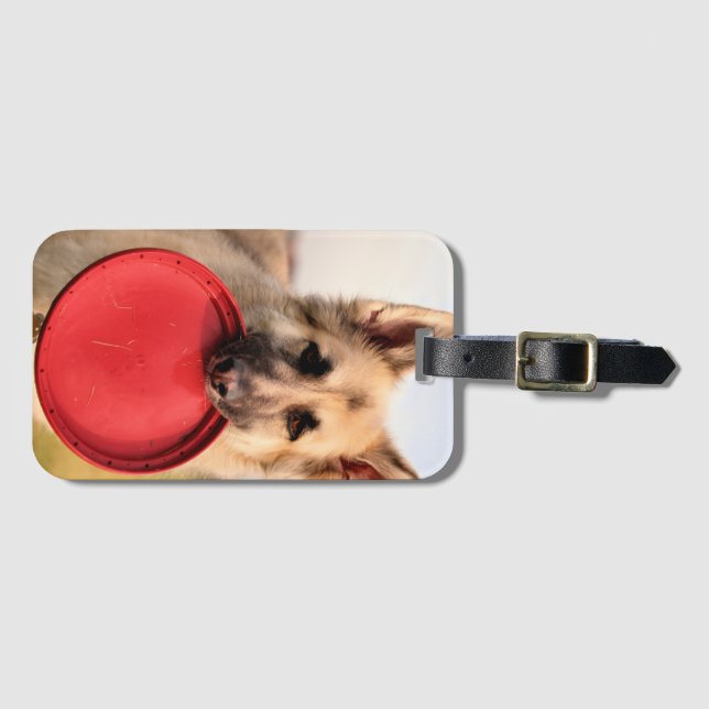 Frisbee    luggage tag (Front Horizontal)