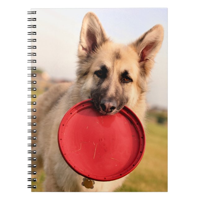 Frisbee Notebook (Front)