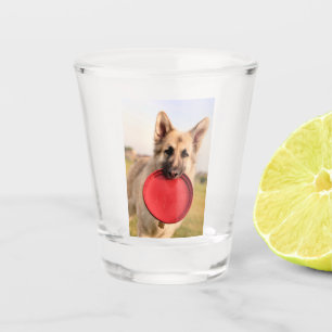 Frisbee Shot Glass