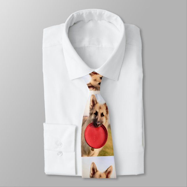 Frisbee Tie (Tied)