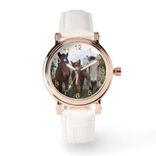 Frisky Hair, Four Horse Pals, Watch