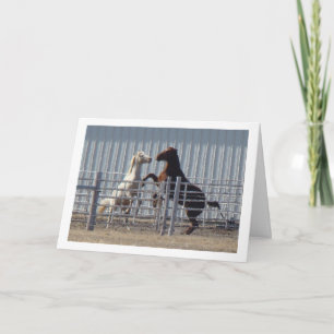 Frisky Horses, Valentine's Day Holiday Card