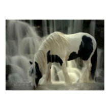 Frison, affiche Papier (mat)