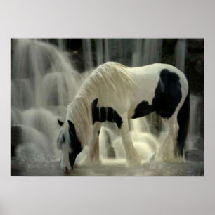 Frison, affiche Papier (mat)