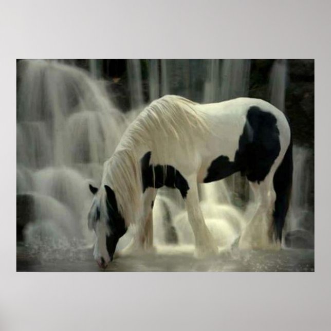 Frison, Papier poster (mat) (Front)