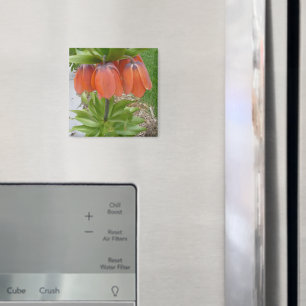 Fritillaria Imperialis Orange Fleurs Magnet