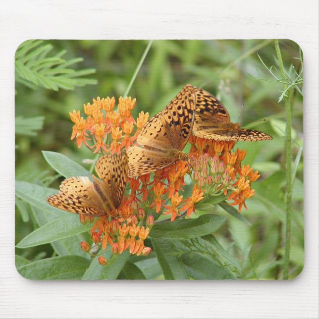 Fritillary butterflies mouse pad (Front)