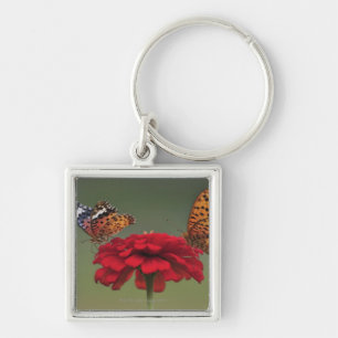 Fritillary Butterfly (Argyreus hyperbius) on 2 Keychain