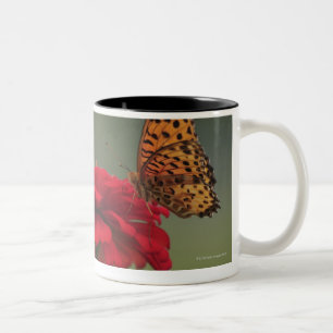 Fritillary Butterfly (Argyreus hyperbius) on 2 Two-Tone Coffee Mug