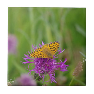 Fritillary Butterfly Ceramic Tile