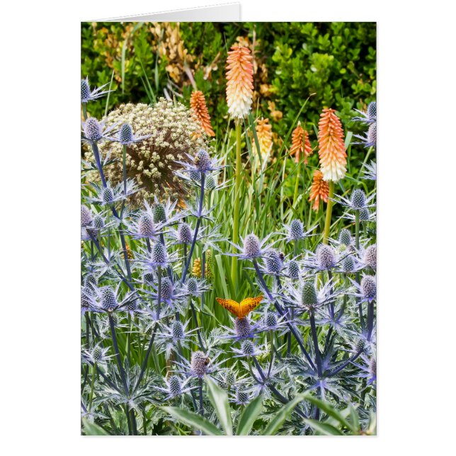 Fritillary Butterfly In A Summer Garden (Front)