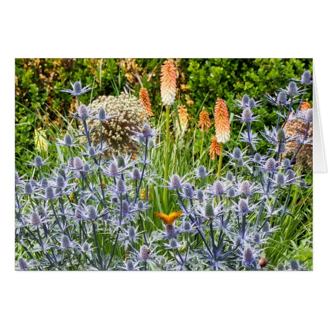 Fritillary Butterfly In A Summer Garden (Front Horizontal)