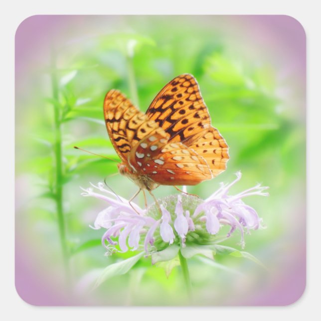 Fritillary Dream - Sticker Carré diurne (Devant)