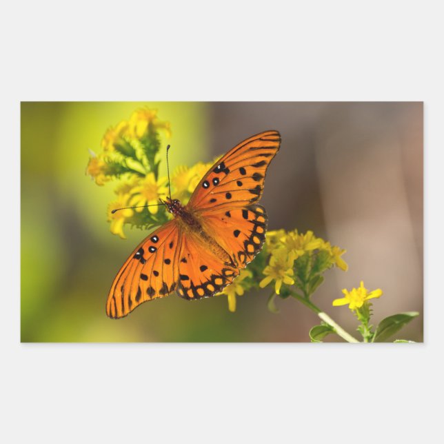 Fritillary Gulf Butterfly Gifts and Apparel Sticker (Front)