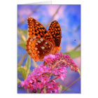 Fritillon sur Bleu - Bright Butterfly