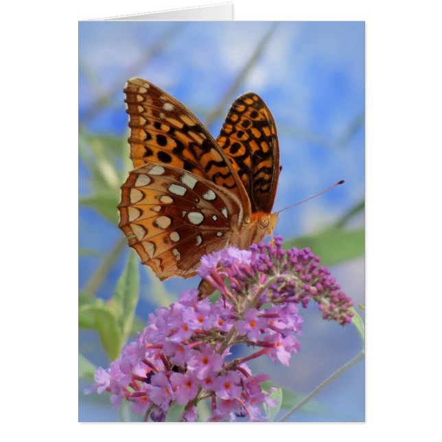 Fritillon sur Bleu - Papillon (Devant)