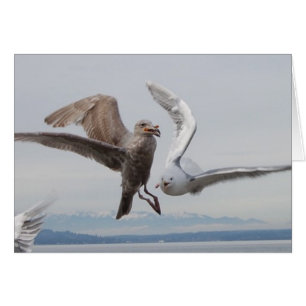 fritures 2 de liberté