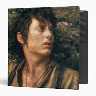 FRODO™ in Despair Binder