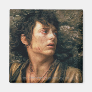 FRODO™ in Despair Magnet