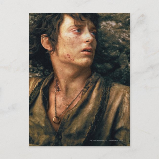 FRODO™ in Despair Postcard (Front)