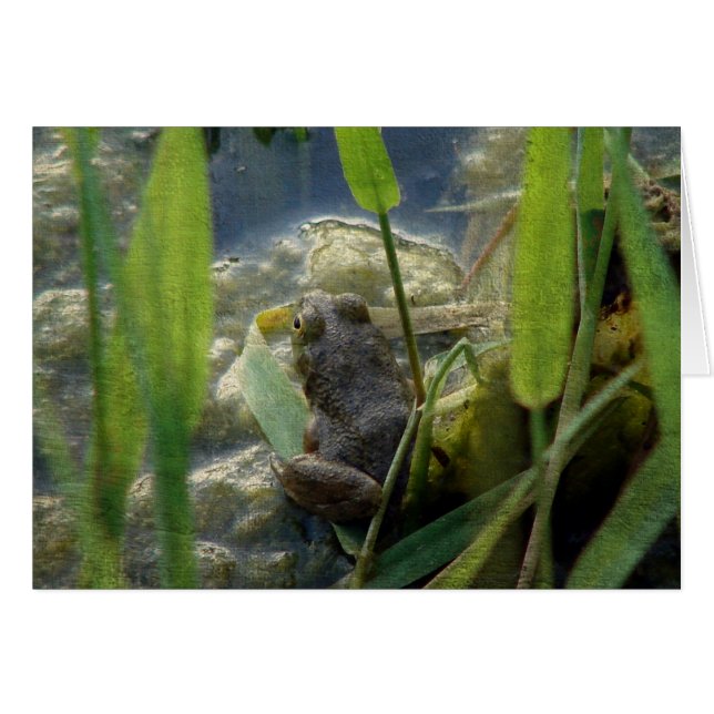 Frog (Front Horizontal)