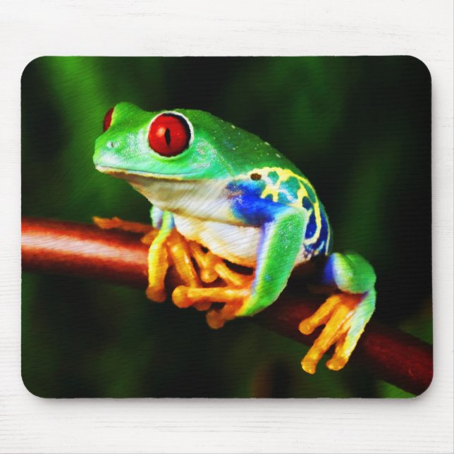 Frog 1 Mousepad (Front)
