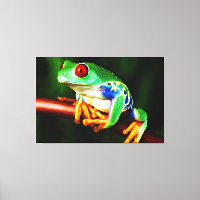 Frog 1 Wrapped Canvas (Front)