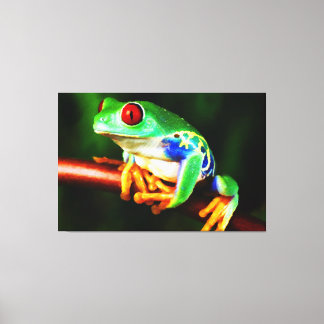 Frog 1 Wrapped Canvas