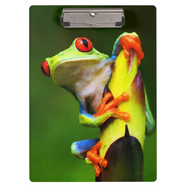 Frog 2 Clipboard (Front)