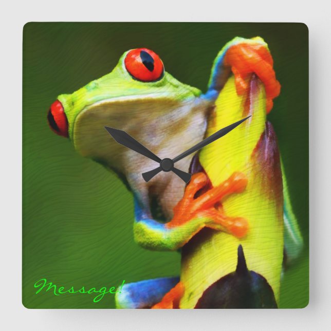 Frog 2 Clock With Options (Front)
