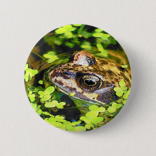 FROG 2 INCH ROUND BUTTON