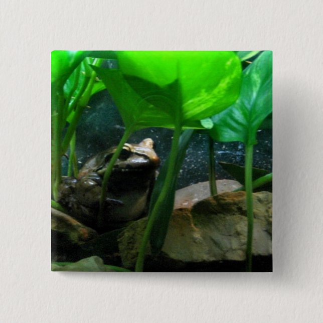 Frog 2 Inch Square Button (Front)