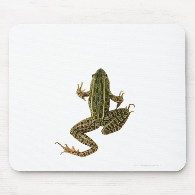 Frog 2 mouse pad (Front)