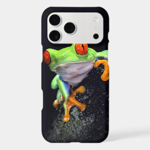 Frog 3 iPhone Case