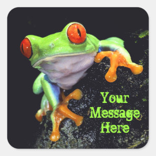 Frog 3 Sticker