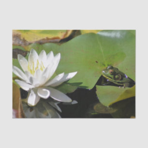 Frog Admiring Water Lily Decoupage  Tissue Paper