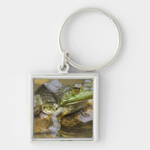 Frog along the Buffalo River, Mile 126 on the Keychain