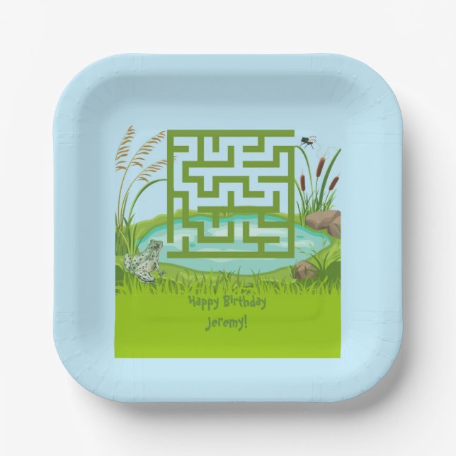 Frog and Fly Maze Birthday Paper Plates (Front)