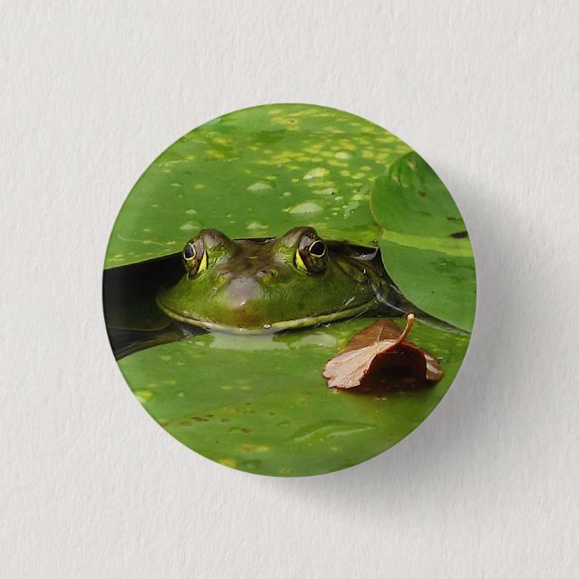 Frog and Lily Pads 1 Inch Round Button (Front)