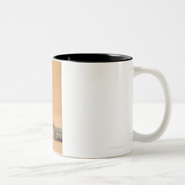 Frog and lizard wearing crowns Two-Tone coffee mug (Right)
