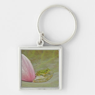 Frog and lotus flower petal, China, Keychain
