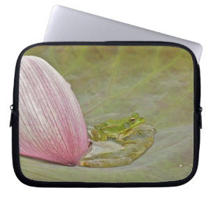 Frog and lotus flower petal, China, Laptop Sleeve