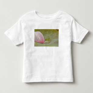 Frog and lotus flower petal, China, Toddler T-shirt